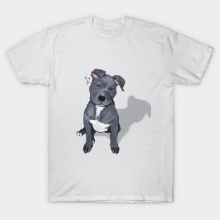 Dog blinking the eye T-Shirt